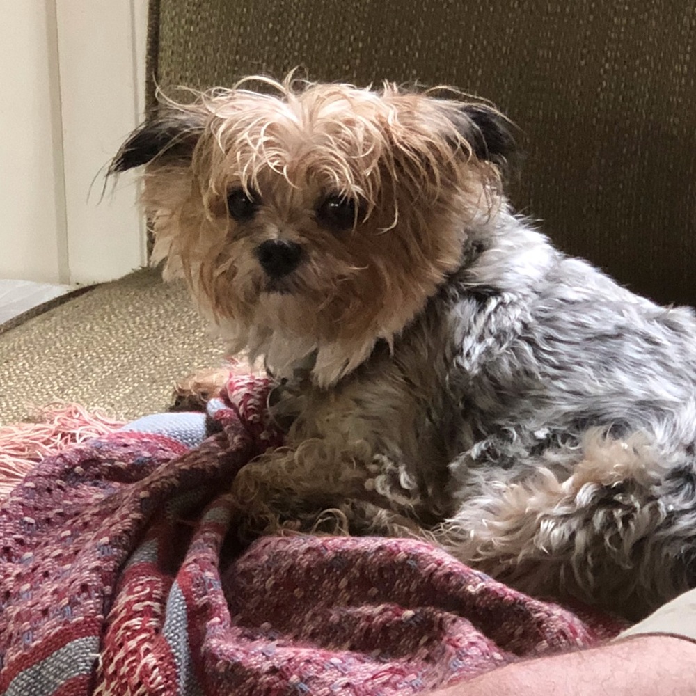 Meet your Posher, Rob